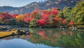 Beautiful autumn colour leaves at Sogenchi pond.