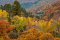 Beautiful Autumn colour season at Hachimantai area.