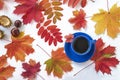 Beautiful autumn composition with cup of coffee and multicolred maple leaves