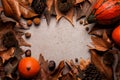 Beautiful autumn composition. Fall dried brown leafs, pumpkins, nuts, pine cones Royalty Free Stock Photo