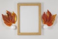 Beautiful Autumn composition. Photo frame, dried leaves. Flat lay Royalty Free Stock Photo
