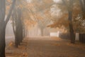 Beautiful autumn concept. Morning fog fell on a city street. A lone passerby is walking along a deserted sidewalk in a fog. A long Royalty Free Stock Photo