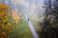 Beautiful autumn concept. Path in the autumn park Royalty Free Stock Photo