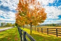 Beautiful autumn country landscape with road, colorful tree and pastures of horse farm Royalty Free Stock Photo