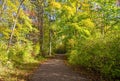 Beautiful Autumn Country Landscape on a sunny day. Royalty Free Stock Photo