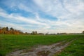 Beautiful autumn country landscape view. Gorgeous nature backgrounds. Green yellow trees and road Royalty Free Stock Photo