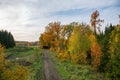 Beautiful autumn country landscape view. Gorgeous nature backgrounds. Green yellow trees and road Royalty Free Stock Photo