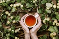 Beautiful autumn cozy flatlay with apple tree branches with ripe fruits, woman`s hands holding cup of warm tea