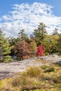 Clouds, colourful leaves and rocks, Beausoleil Island, Ontario, Canada Royalty Free Stock Photo