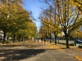 Beautiful autumn day at Karl-Marx-Allee in Berlin on a sunny day in October. Golden Fall Colours.