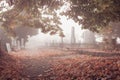 Beautiful autumn or fall graveyard cemetery covered in fallen leaves and foliage carpet Royalty Free Stock Photo