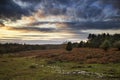 Beautiful Autumn Fall sunset over forest landscape with moody dr Royalty Free Stock Photo