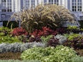 Beautiful autumn flowerbed with Purple Fountain Grass
