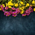 Beautiful autumn flowers background Royalty Free Stock Photo