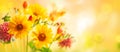 Beautiful autumn flowers on yellow blurred background. Dahlia, daisy, sunflowers. Panorama, banner with copy space