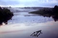 Beautiful autumn foggy sunset over a quiet forest lake