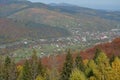 Beautiful autumn forest in Carpathian mountains