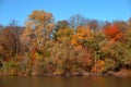 Beautiful autumn forest by the lake, against the background of a clear blue sky without clouds Royalty Free Stock Photo