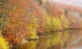 Beautiful autumn forest lake Royalty Free Stock Photo