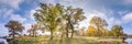 Beautiful autumn forest or park of oak grove with clumsy branches near river in gold autumn. hdri panorama with bright sun shining Royalty Free Stock Photo