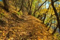 Beautiful autumn forest.  Path along the river in park. Sunny autumn day Royalty Free Stock Photo