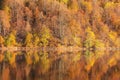 Beautiful autumn forest reflecting in lake Royalty Free Stock Photo