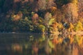 Beautiful autumn forest reflecting in lake Royalty Free Stock Photo