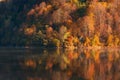 Beautiful autumn forest reflecting in lake Royalty Free Stock Photo