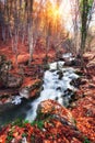 Beautiful autumn forest with river in crimean mountains at sunse Royalty Free Stock Photo