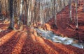 Beautiful autumn forest with river in crimean mountains at sunse Royalty Free Stock Photo