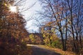 Beautiful autumn forest with sunbeam and winding road Royalty Free Stock Photo