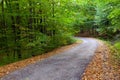 Beautiful autumn forest, winding road in it. Royalty Free Stock Photo