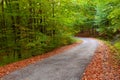 Beautiful autumn forest, winding road in it. Royalty Free Stock Photo