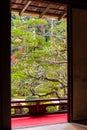 Beautiful autumn garden scenery seen from a Japanese-style guest room.