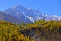 Beautiful Autumn at Ghizer Valley. Royalty Free Stock Photo