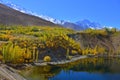 Beautiful Autumn at Ghizer Valley. Royalty Free Stock Photo