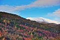 Autumn Hues at Arrowtown New Zealand Royalty Free Stock Photo