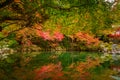 Beautiful autumn in japanese garden with colorful maple trees Royalty Free Stock Photo