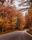 Beautiful autumn Royalty Free Stock Photo