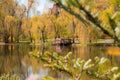 Beautiful autumn lake and forest. Season Abstract natural background. Blurry silhouettes of many green fall trees