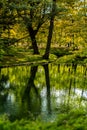 Beautiful autumn lake and forest. Season Abstract natural background. Blurry silhouettes of many green fall trees