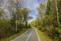 Beautiful autumn landscape with asphalt road in forest with road sign to let oncoming car pass.