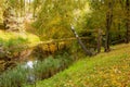 Beautiful autumn landscape. Autumn gradient of flowers. Colorful foliage on the trees