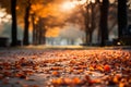 Beautiful autumn landscape background with colorful orange and yellow foliage in the park at sunset, blurred forest and maple tree Royalty Free Stock Photo