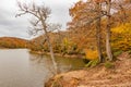 Beautiful autumn landscape of Belgrad forest with colorful trees near lake on cloudy day, Istanbul Royalty Free Stock Photo