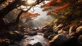 a beautiful autumn landscape, a brook in a forest, leaves and grass in a forest glade at sunset, sunlight and beautiful