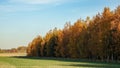 Beautiful autumn landscape. Colorful forest. Royalty Free Stock Photo