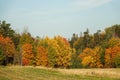 Beautiful autumn landscape. Colorful forest. Royalty Free Stock Photo