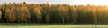 Beautiful autumn landscape. Colorful forest. Panorama Royalty Free Stock Photo