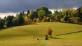 Beautiful autumn landscape. Colourful nature in autumn time. Highlands - Czech Republic